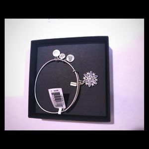 Alex and Ani 2017 Charm Bangle